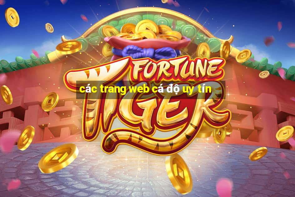 các trang web cá độ uy tín