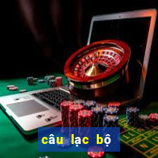 câu lạc bộ bóng đá hà nội