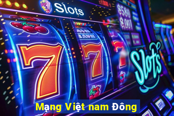 Mạng Việt nam Đông