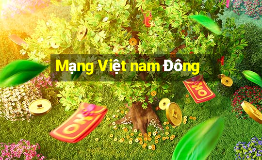 Mạng Việt nam Đông