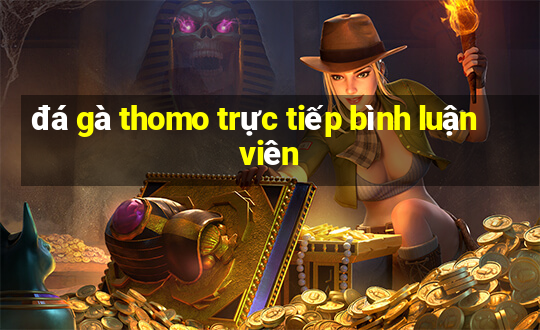 đá gà thomo trực tiếp bình luận viên