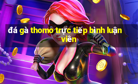 đá gà thomo trực tiếp bình luận viên