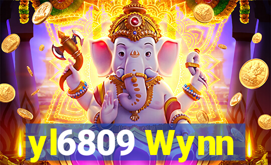 yl6809 Wynn