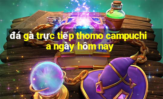 đá gà trực tiếp thomo campuchia ngày hôm nay