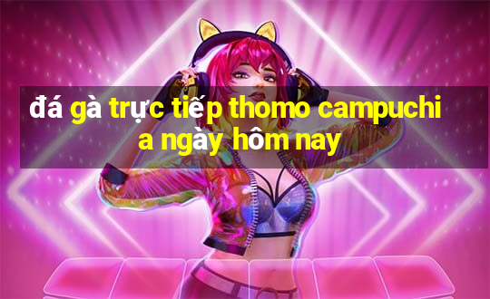 đá gà trực tiếp thomo campuchia ngày hôm nay