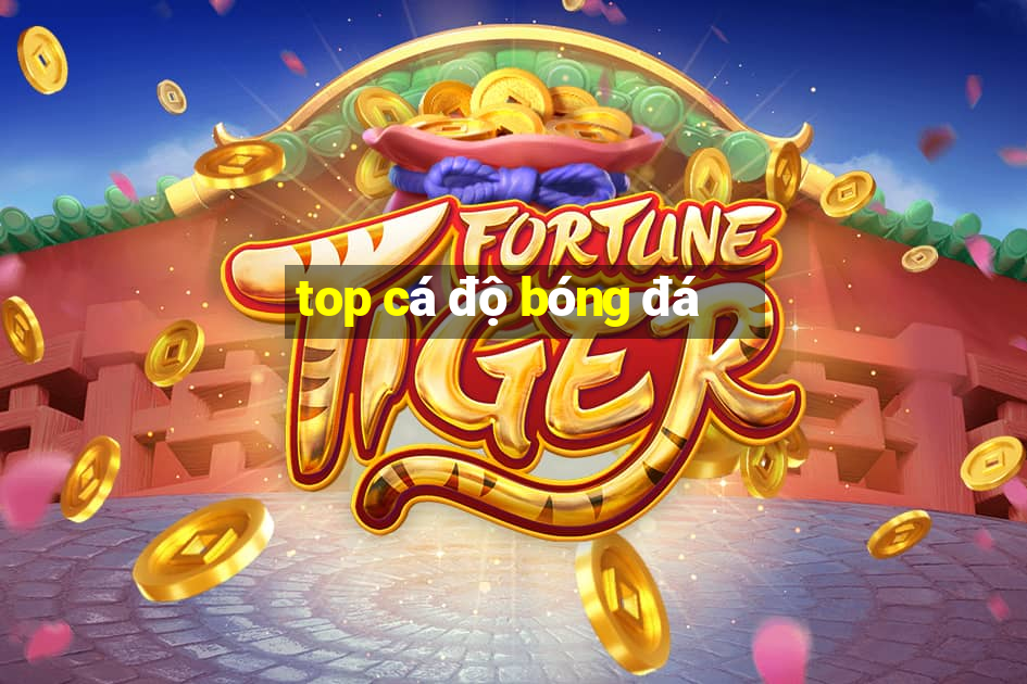 top cá độ bóng đá