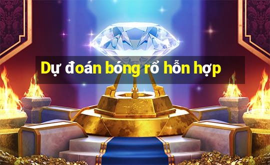 Dự đoán bóng rổ hỗn hợp