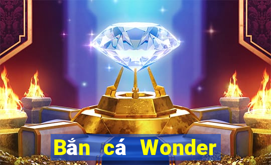 Bắn cá Wonder 230 Phiên bản