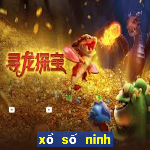 xổ số ninh thuận ngày 31 tháng 12