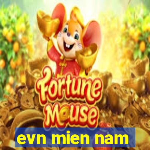 evn mien nam