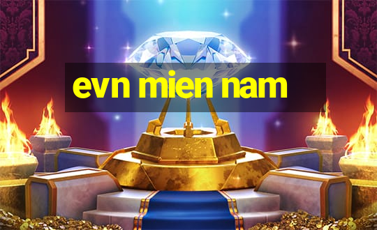 evn mien nam