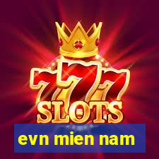 evn mien nam