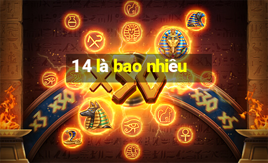 1 4 là bao nhiêu