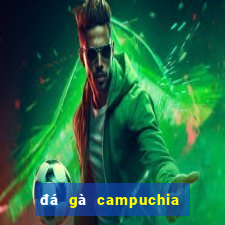 đá gà campuchia hôm nay