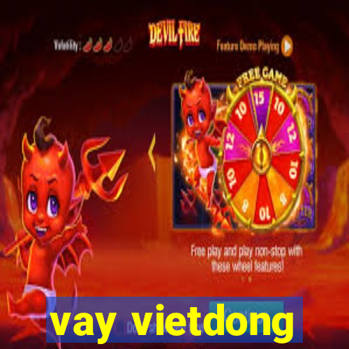 vay vietdong