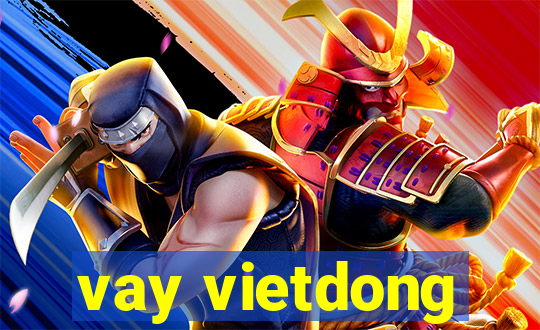 vay vietdong