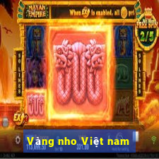 Vàng nho Việt nam