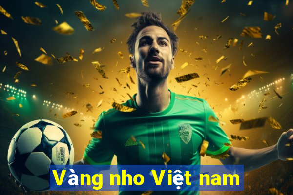 Vàng nho Việt nam