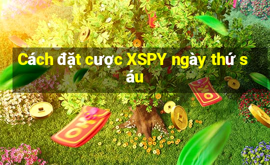 Cách đặt cược XSPY ngày thứ sáu