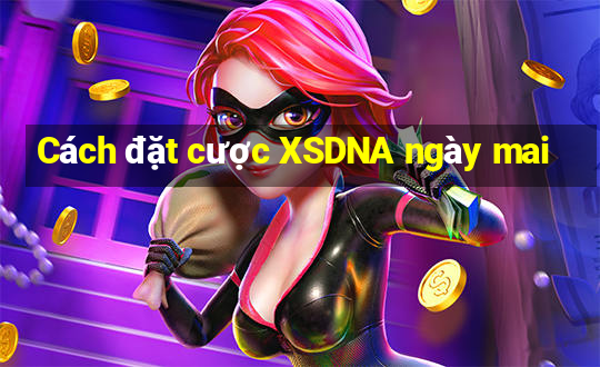 Cách đặt cược XSDNA ngày mai