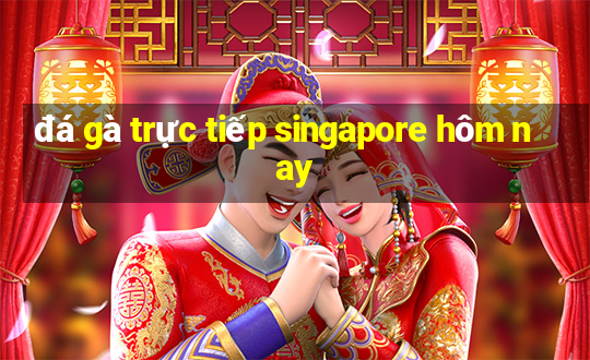 đá gà trực tiếp singapore hôm nay