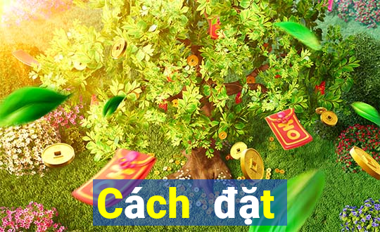 Cách đặt cược XSND ngày 27