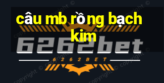 cau mb rong bach kim