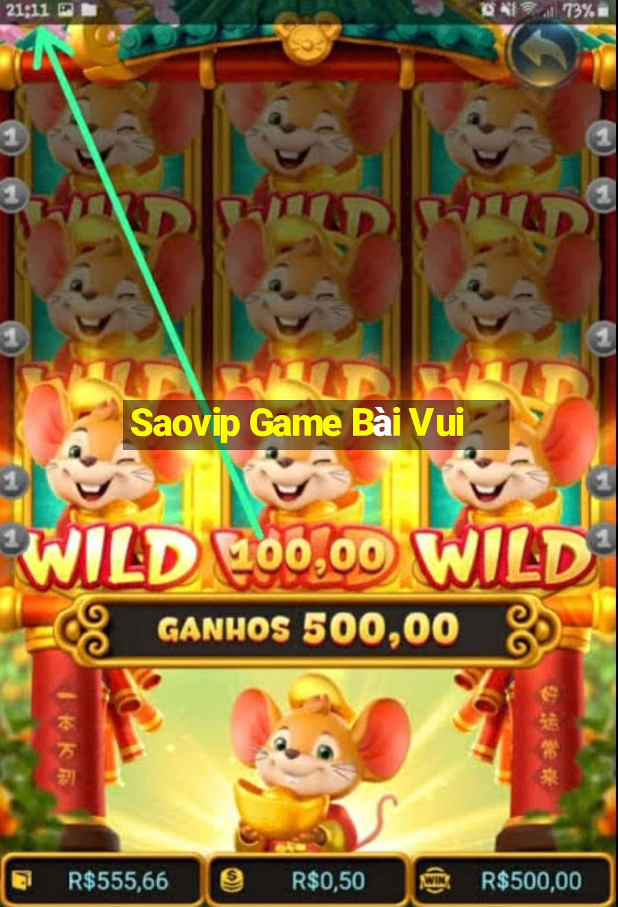 Saovip Game Bài Vui