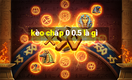 kèo chấp 0 0.5 là gì