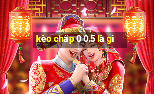 kèo chấp 0 0.5 là gì