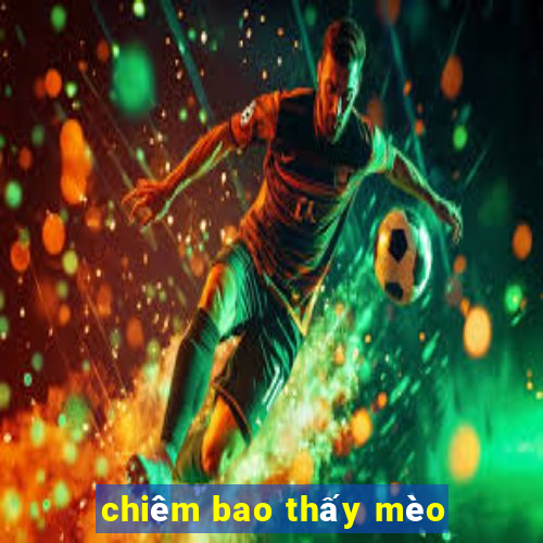 chiêm bao thấy mèo