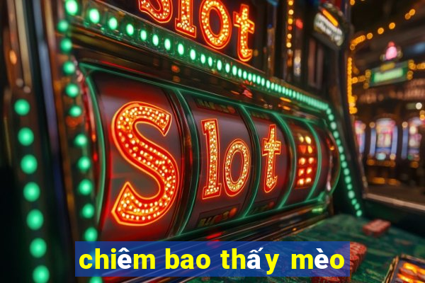 chiêm bao thấy mèo