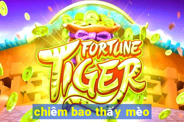 chiêm bao thấy mèo