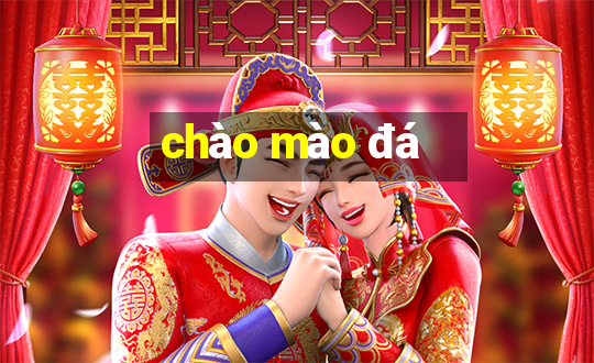 chào mào đá