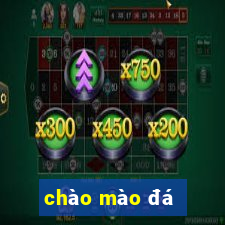 chào mào đá