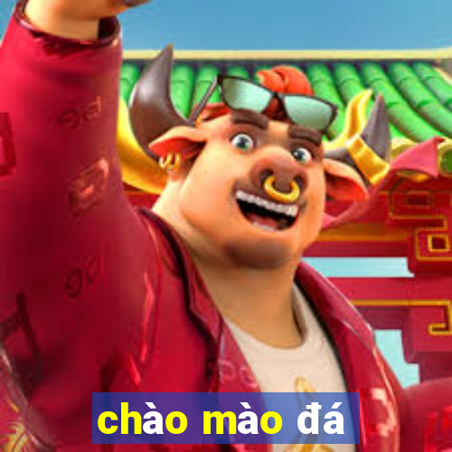 chào mào đá