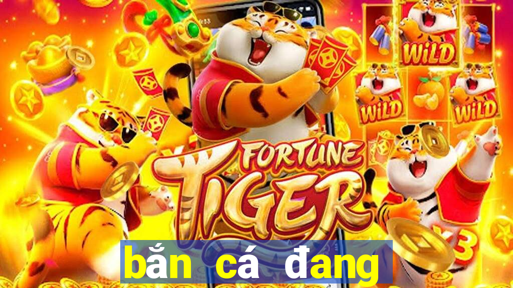 bắn cá đang đến Tải về