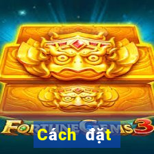 Cách đặt cược XSQT ngày 20