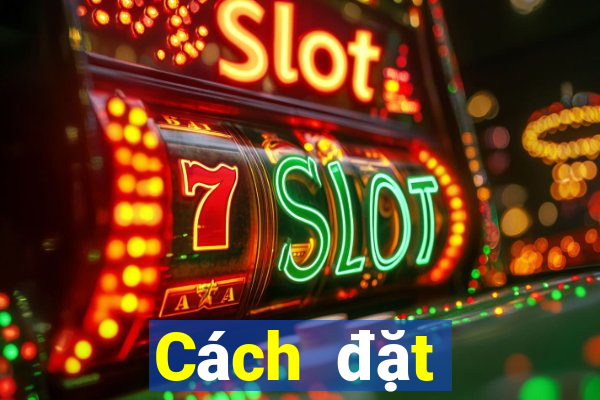 Cách đặt cược XSLD ngày 24