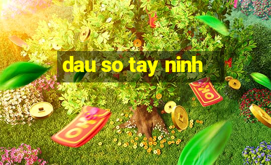 dau so tay ninh