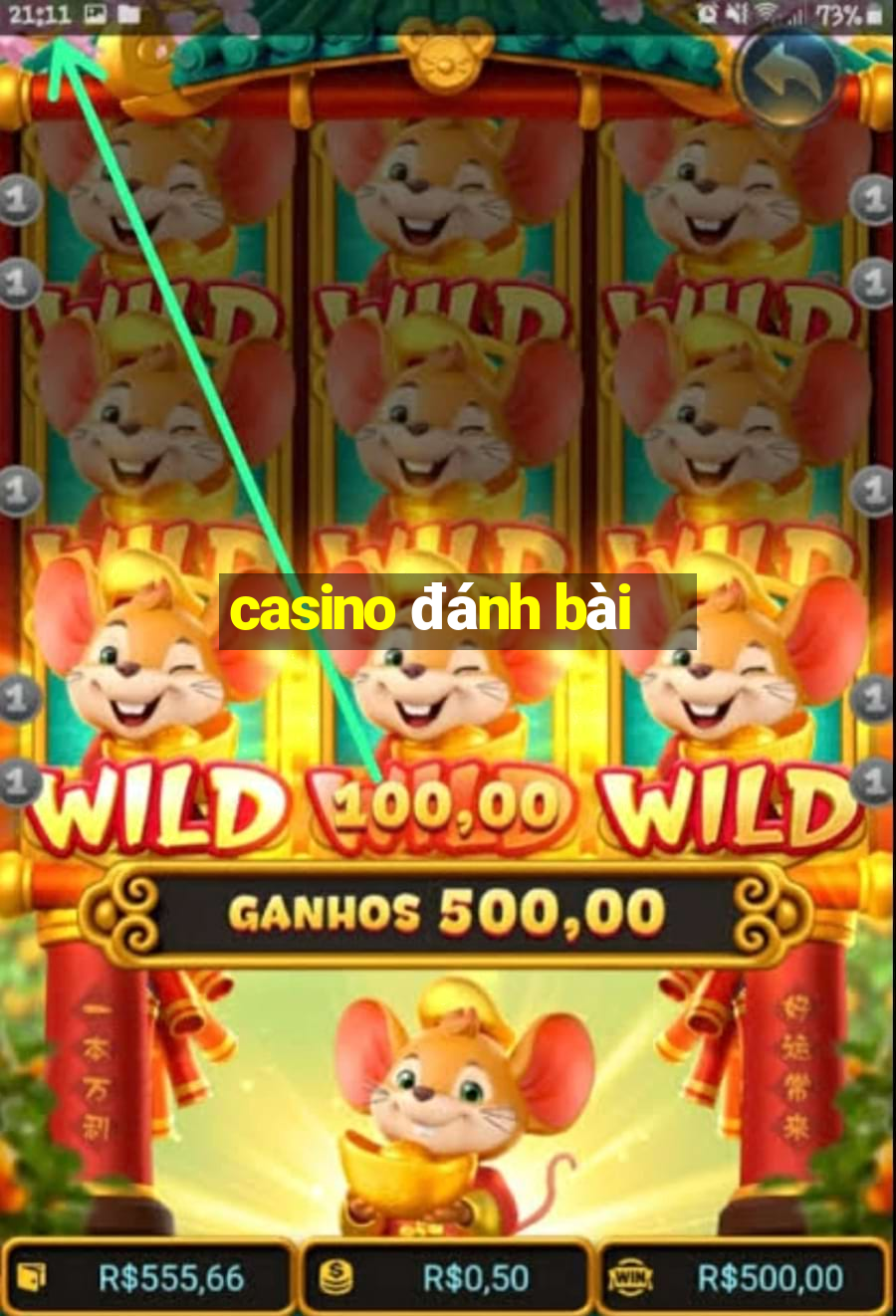 casino đánh bài