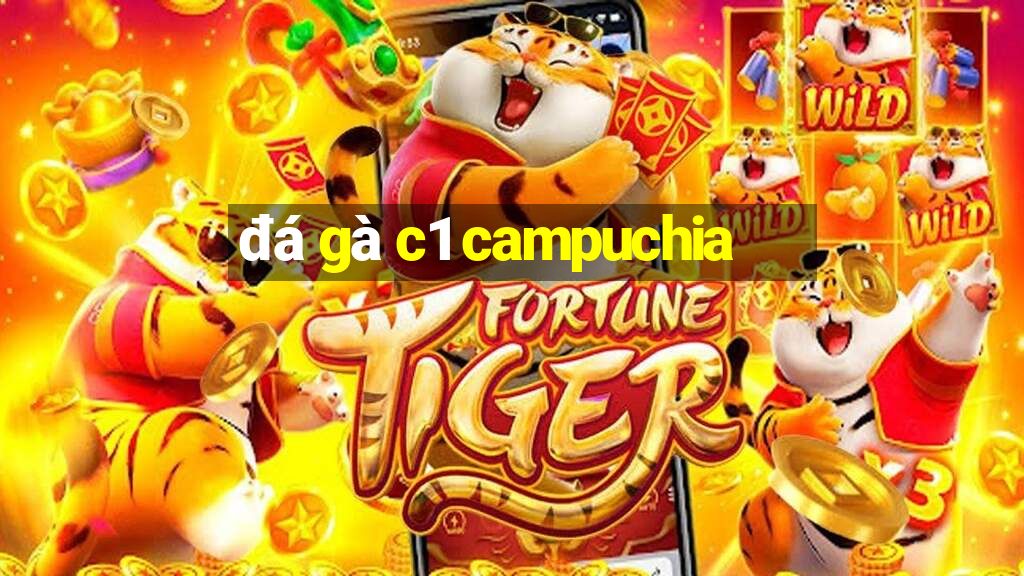 đá gà c1 campuchia