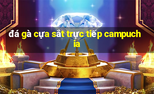 đá gà cựa sắt trực tiếp campuchia