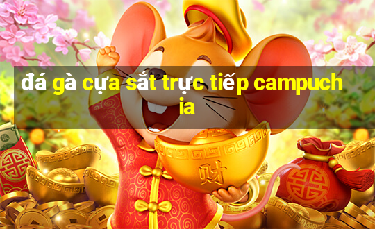 đá gà cựa sắt trực tiếp campuchia