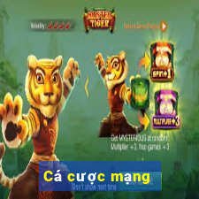 Cá cược mạng