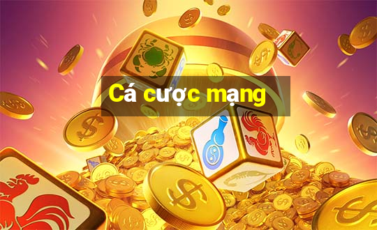 Cá cược mạng