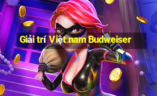 Giải trí Việt nam Budweiser