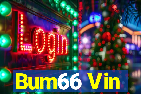 Bum66 Vin