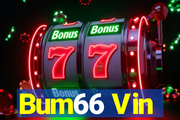 Bum66 Vin