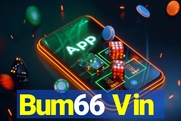 Bum66 Vin